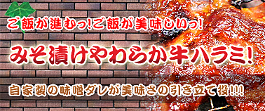 �ߤ��Ҥ����餫���ϥ��